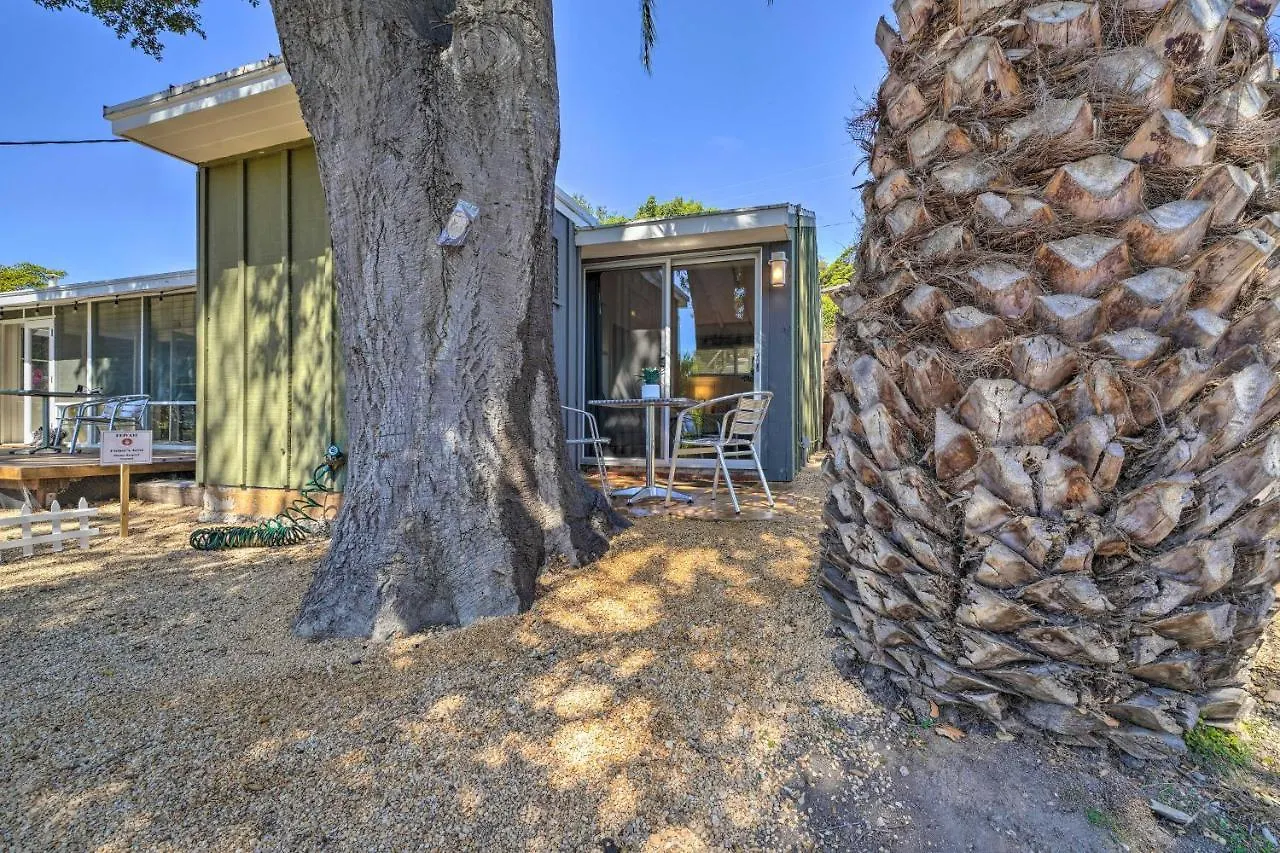 Near Downtown And Beaches Apartment *