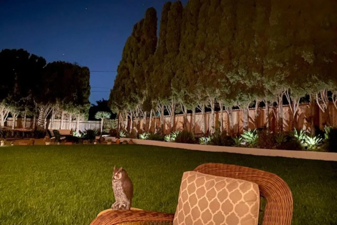 بيت للعطل Hummingbird Haven