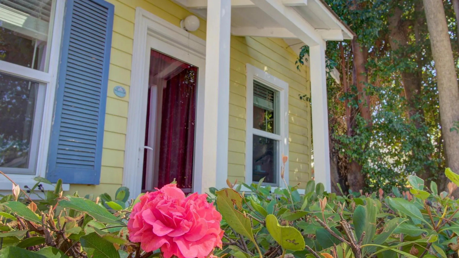 Secret Garden & Bed and breakfast