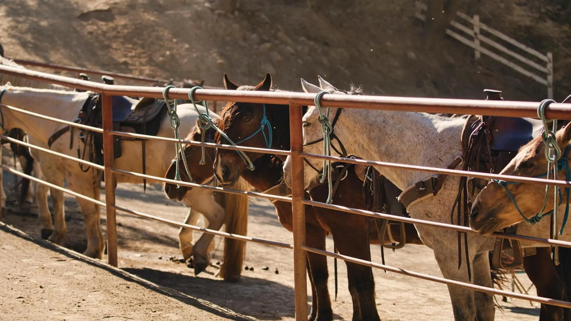 Circle Bar B Guest Ranch Hotel 4*