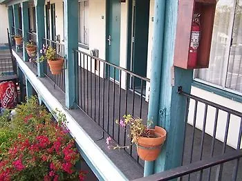 Fiesta & Hotel