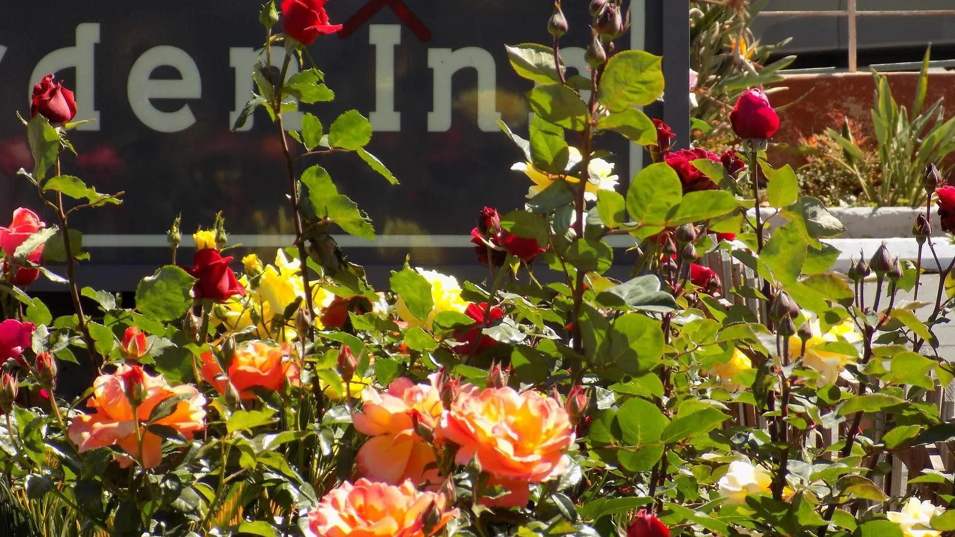 Motel Rose Garden 2*