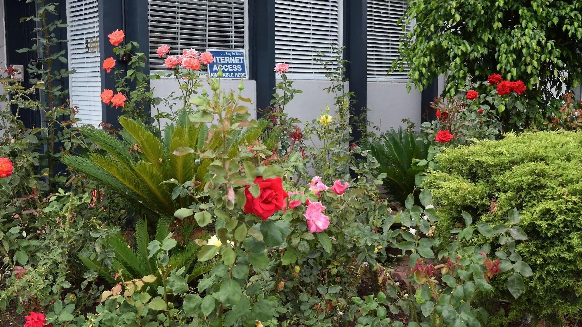 Rose Garden Motel