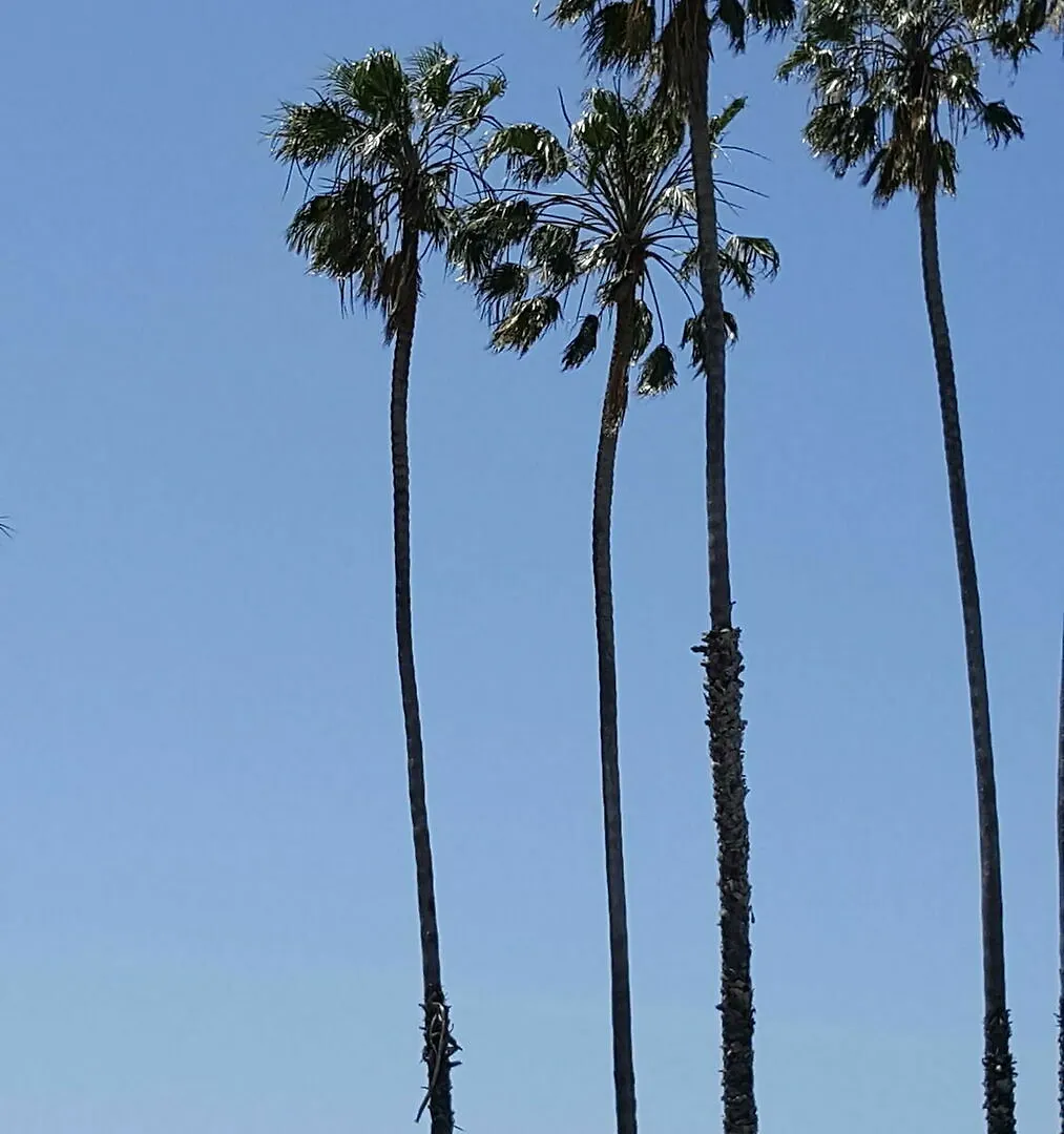 Pacific Crest Hotel Santa Barbara