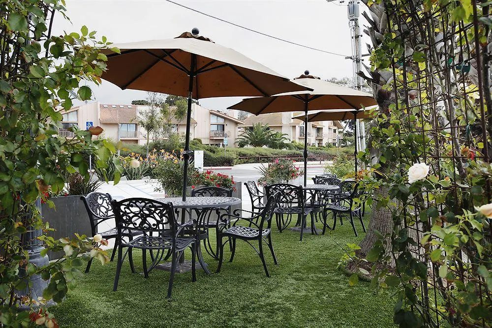 Hotel Palmoro House