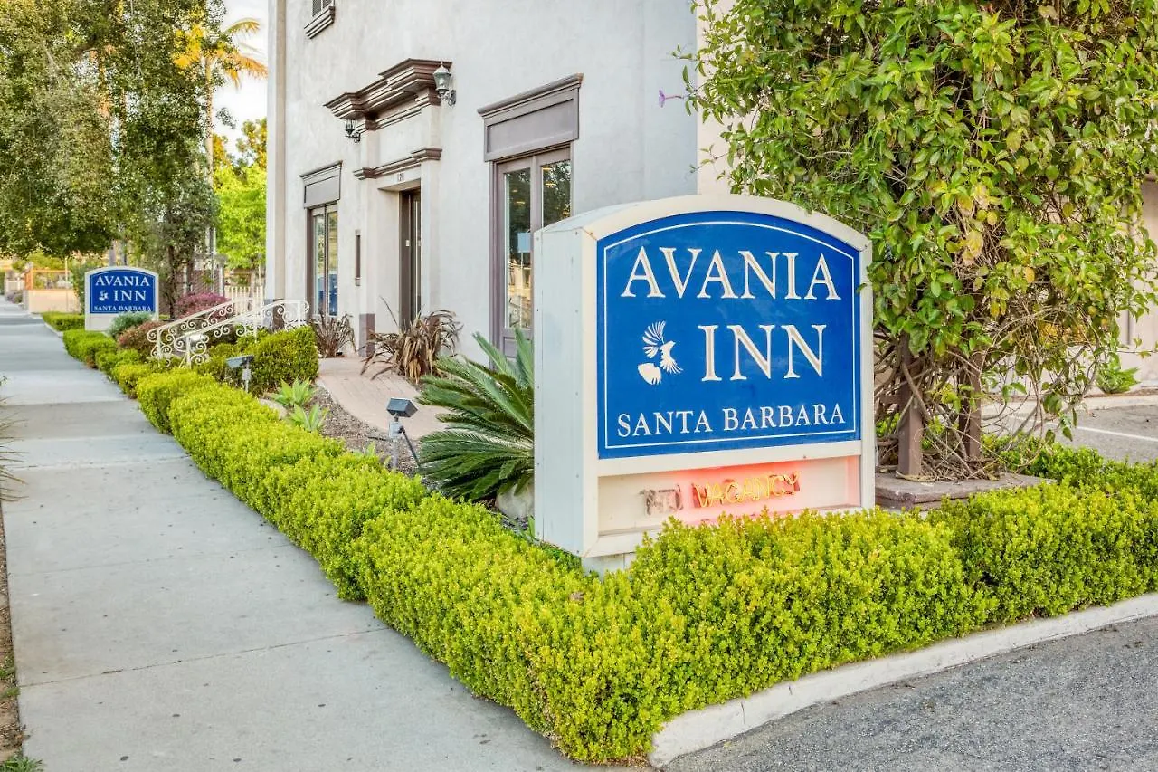 Avania Of Santa Barbara