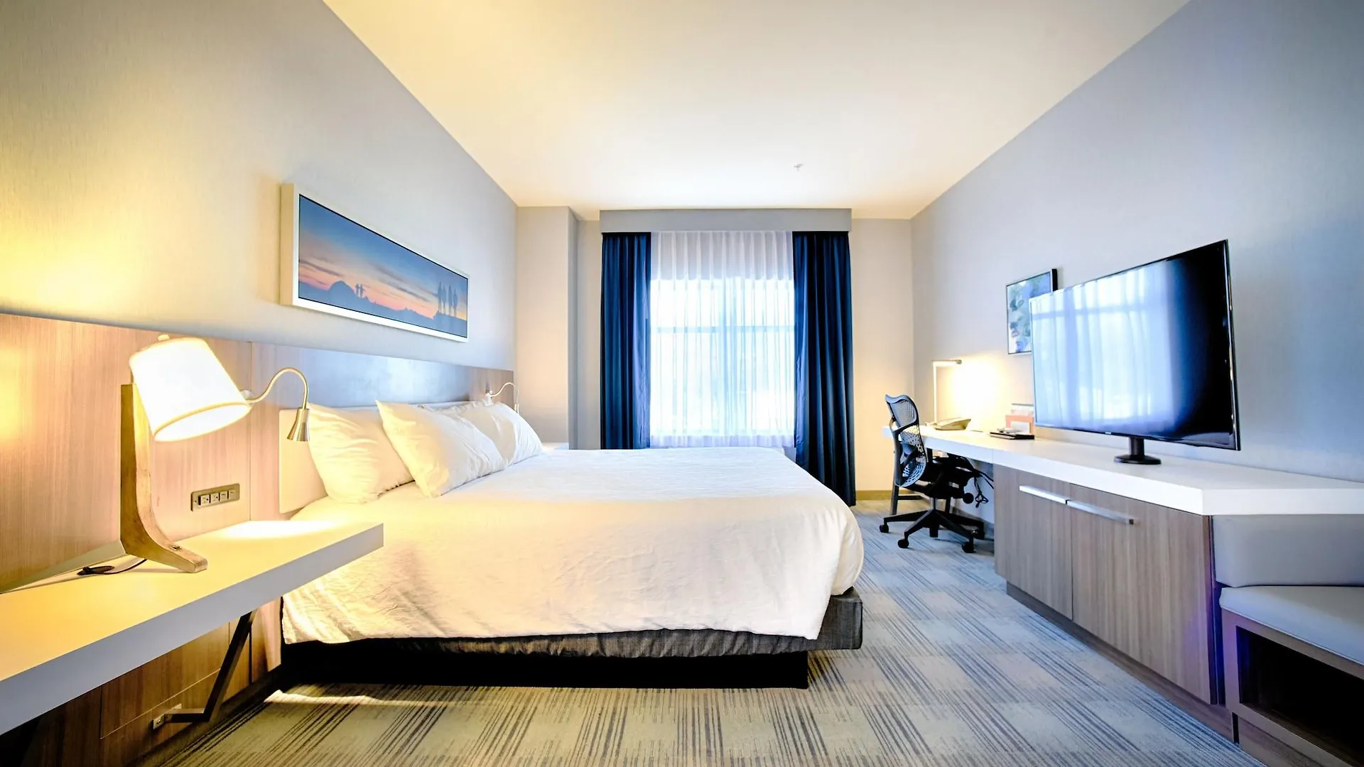 Hotel Hilton Garden Santa Barbara/goleta 3*