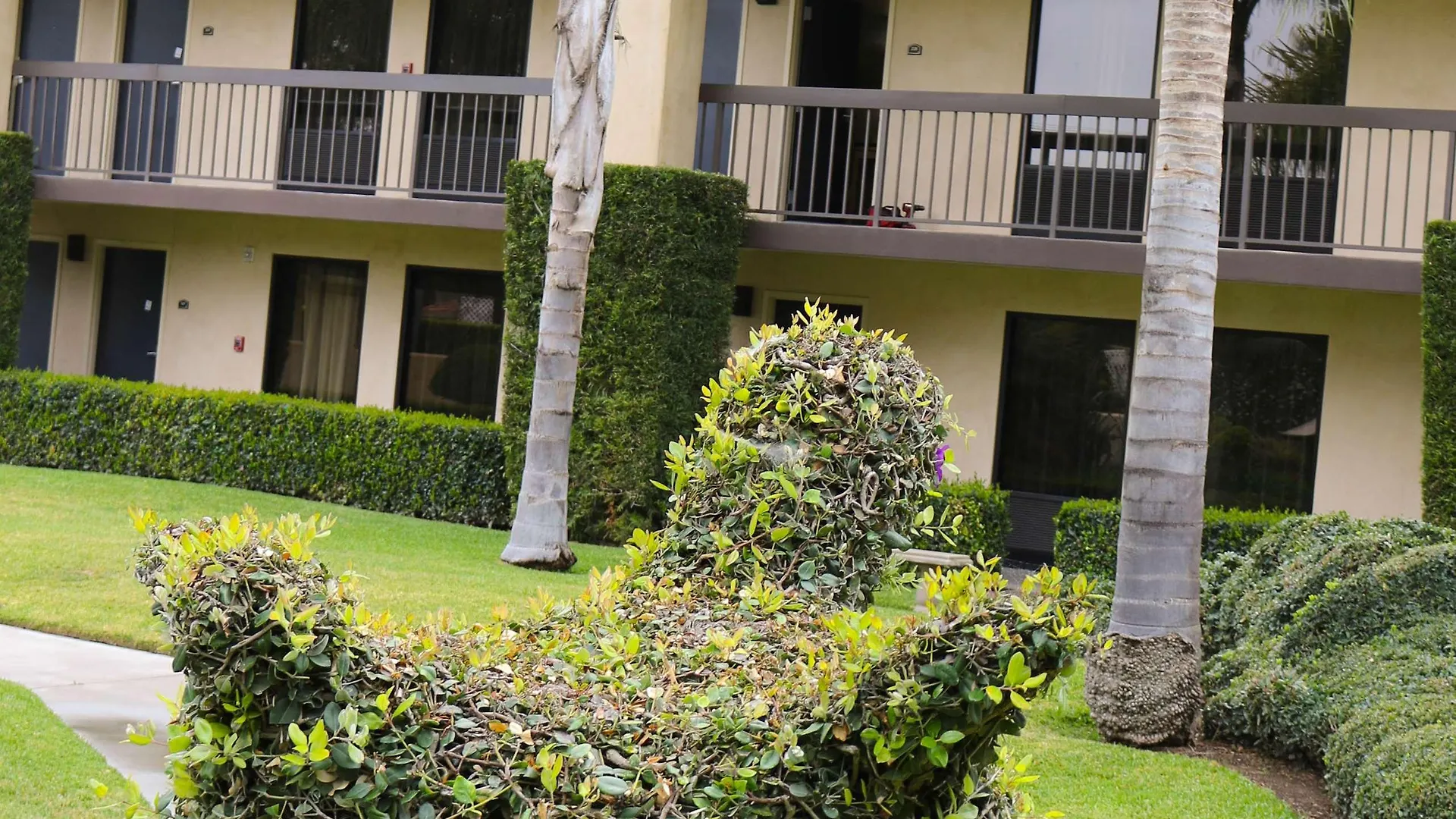 Hotel Western South Coast