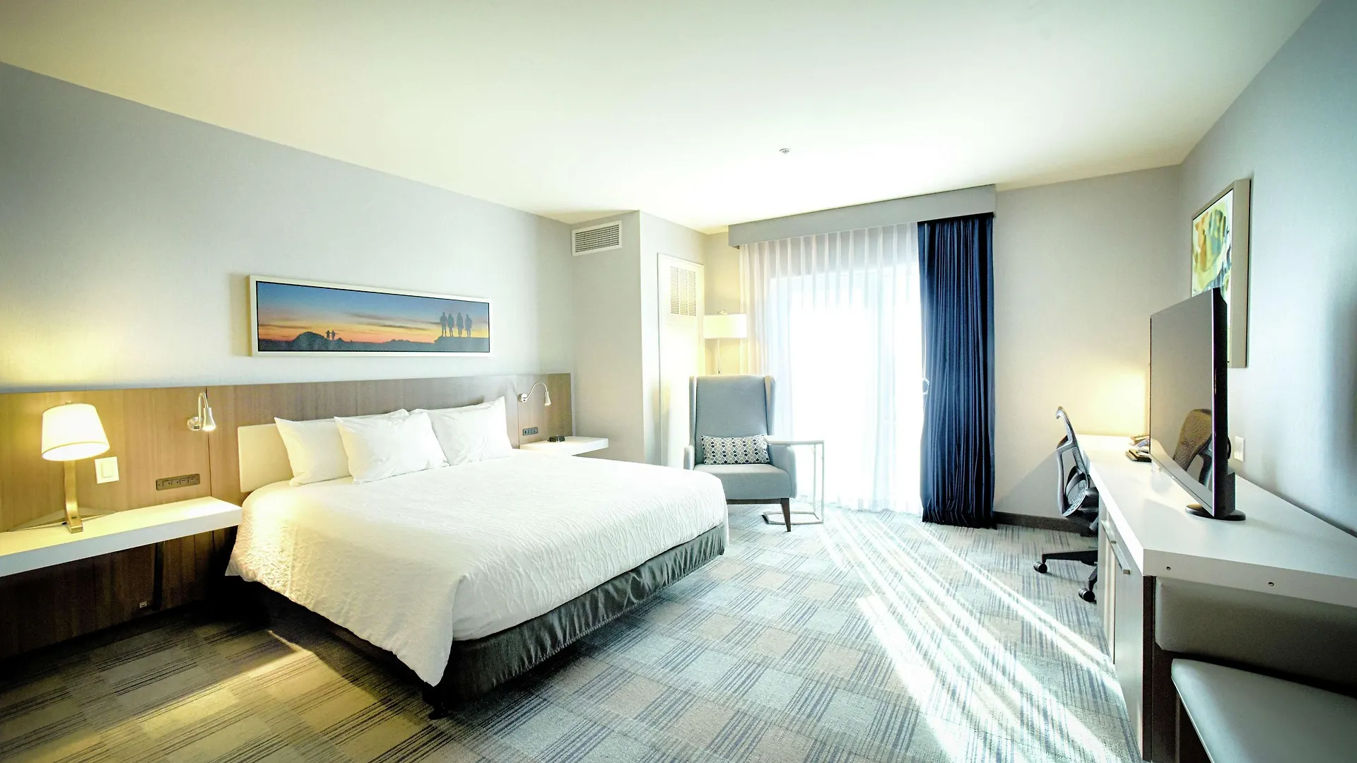 Hilton Garden Santa Barbara/goleta Hotel