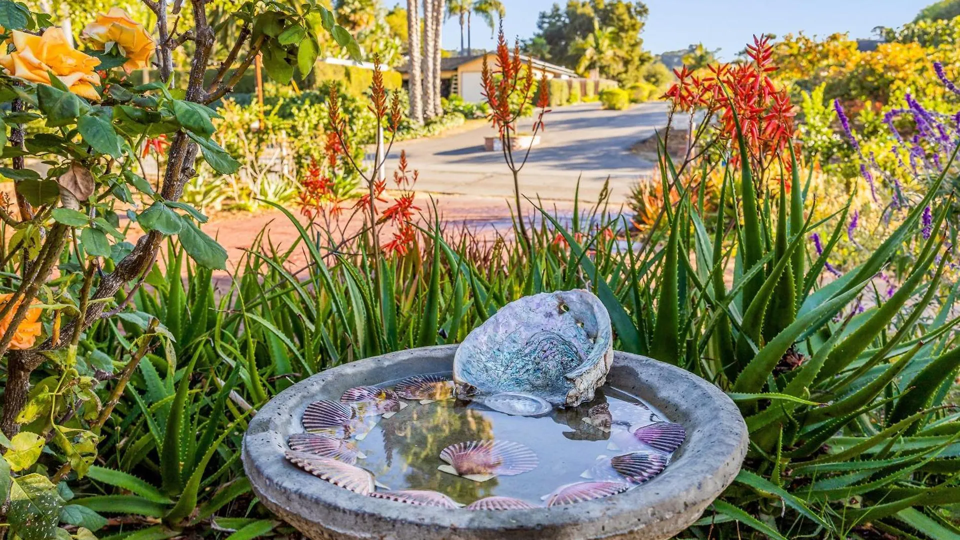 Hummingbird Haven * Santa Barbara