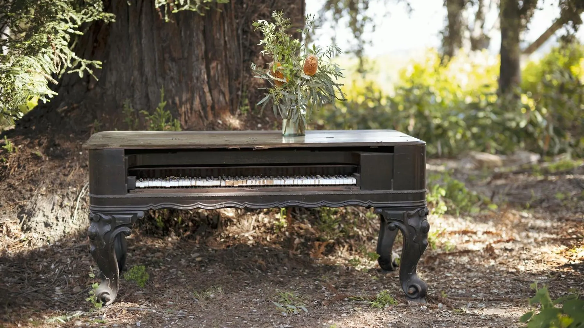 The Steward, Santa Barbara, A Tribute Portfolio מלון Goleta