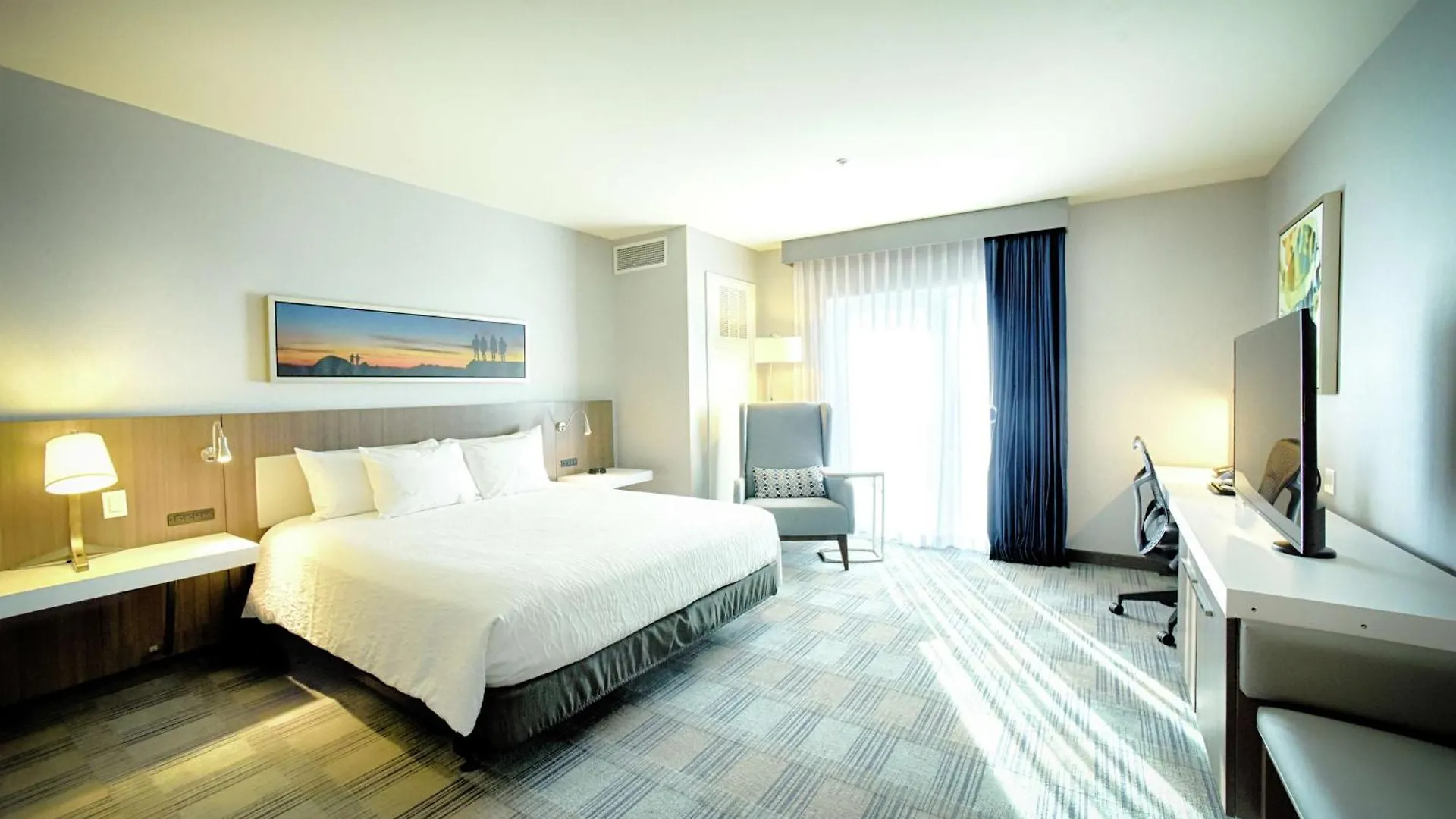 Hotel Hilton Garden Santa Barbara/goleta Goleta