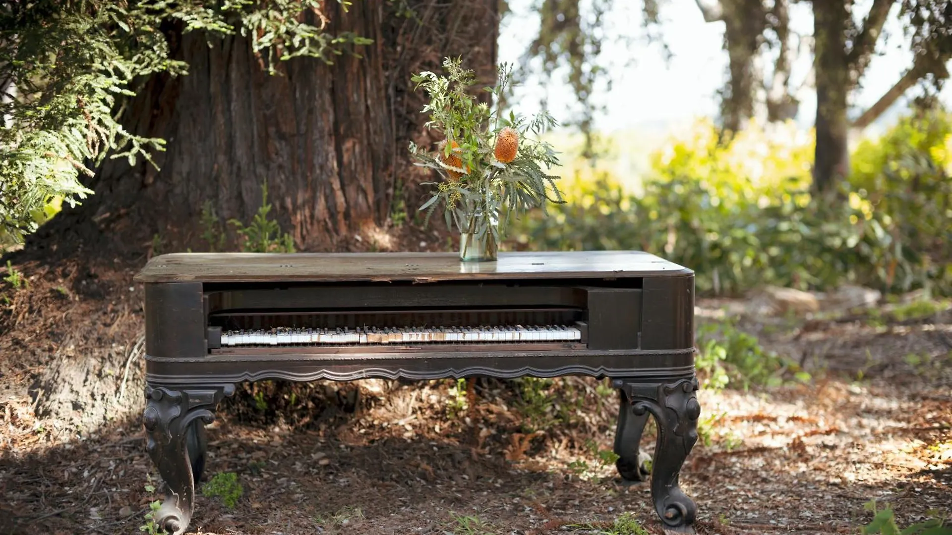 The Steward, Santa Barbara, A Tribute Portfolio מלון Goleta