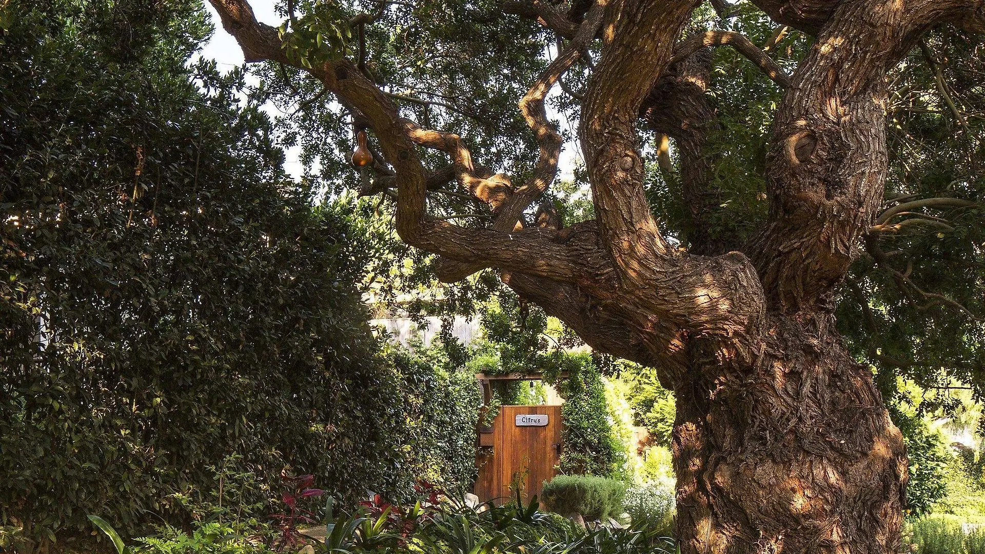 San Ysidro Ranch 5* Montecito