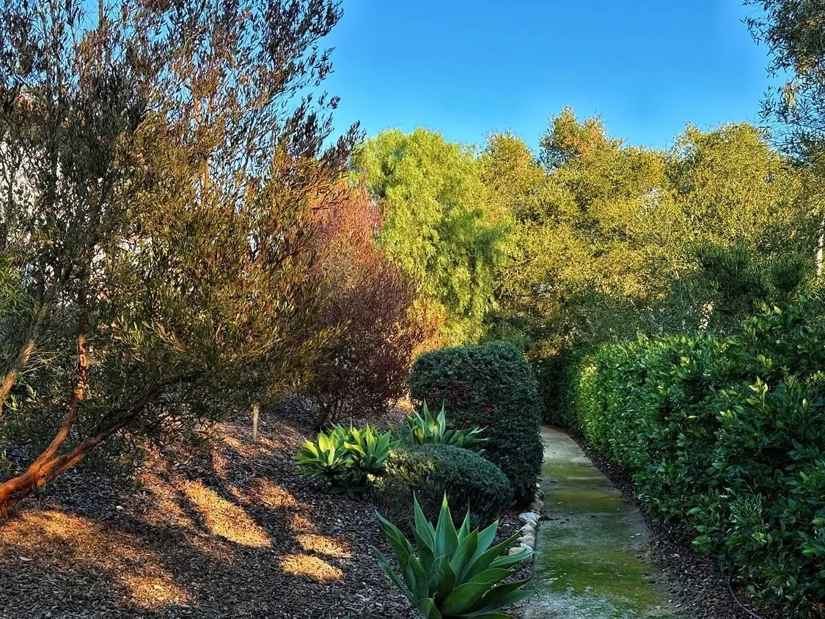 Vista Haven In Santa Babara Villa