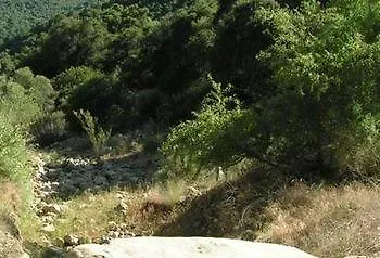 Hotel Rancho Oso Rv & Camping