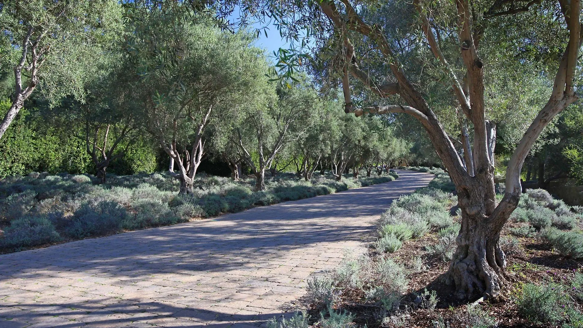 San Ysidro Ranch