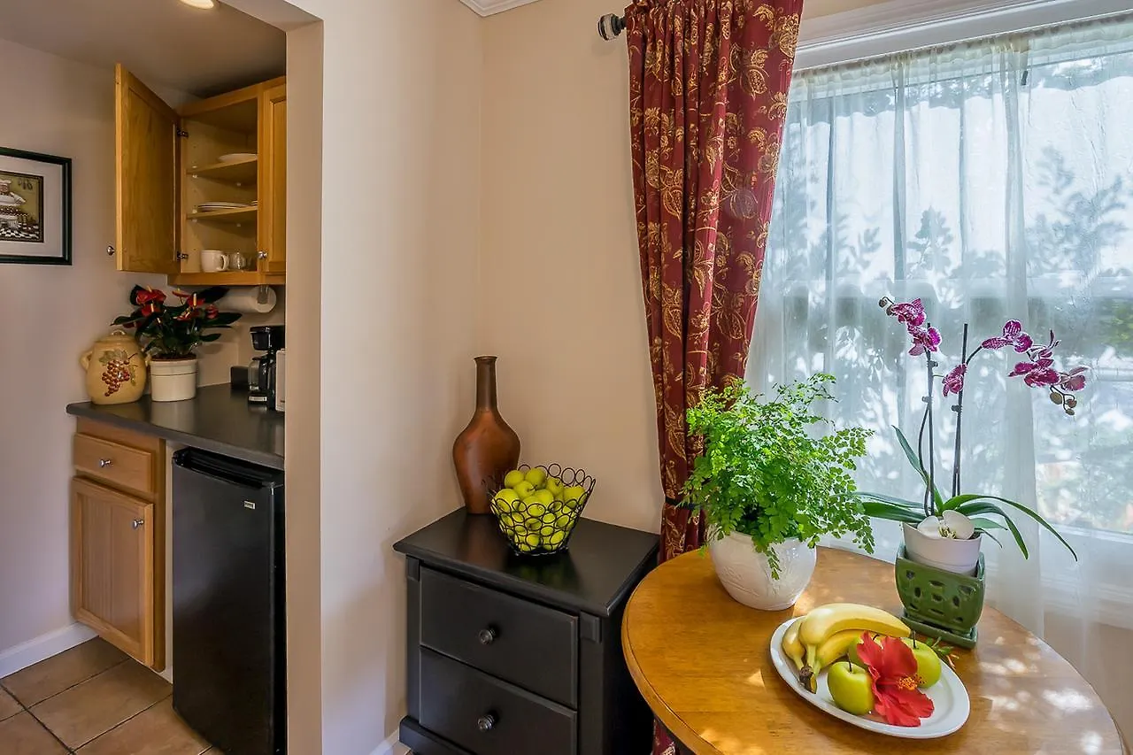 אורחן House