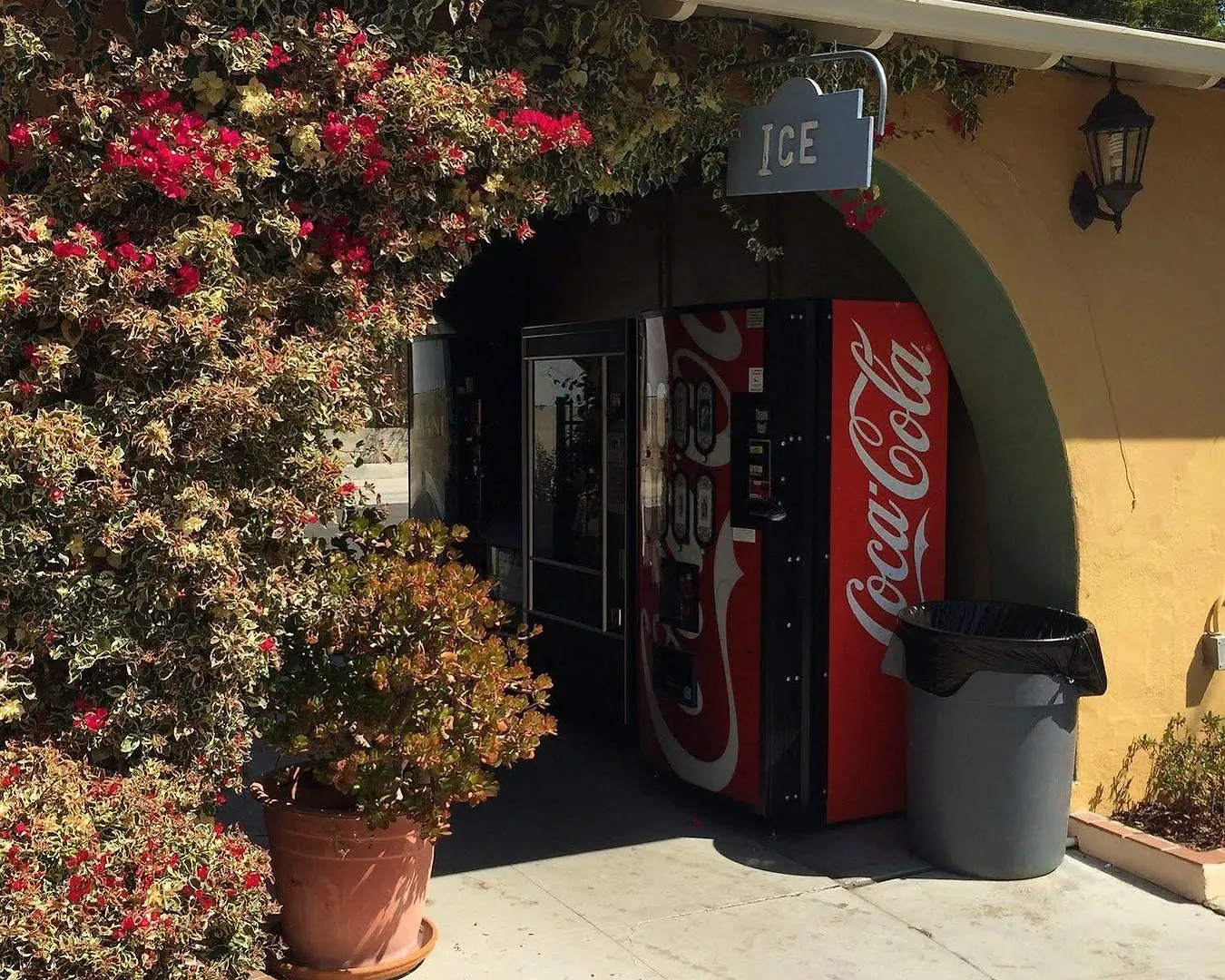 Oasis And Santa Barbara