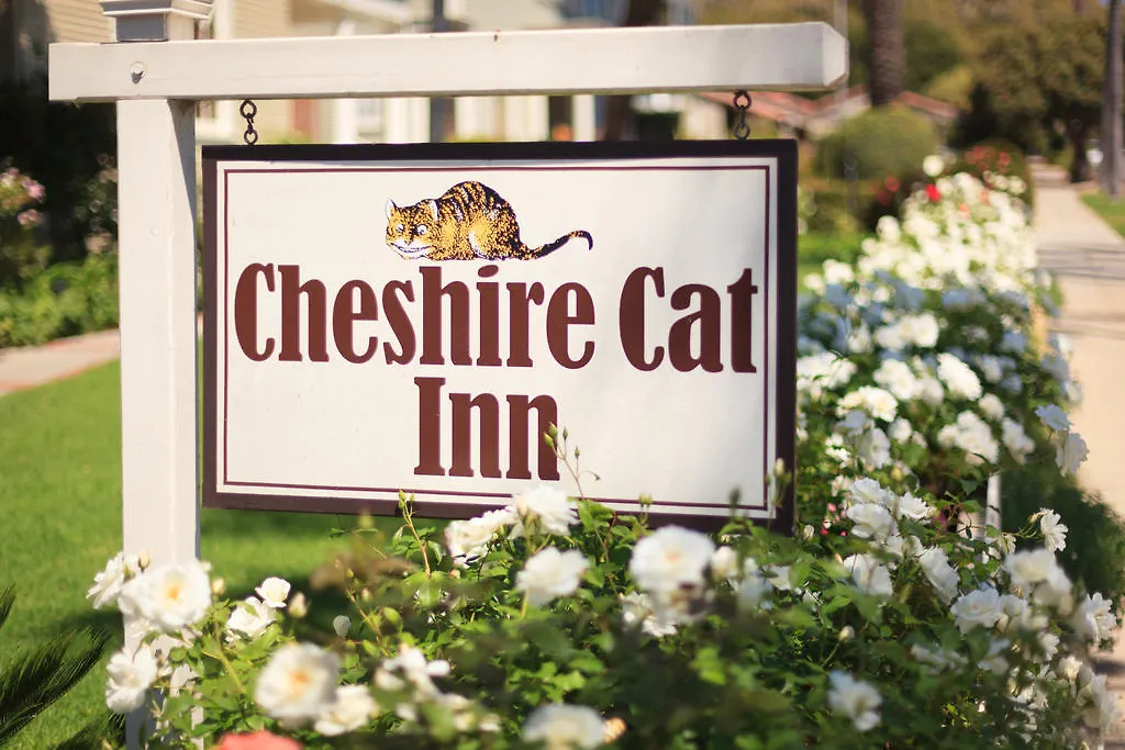 Cheshire Cat & 4*