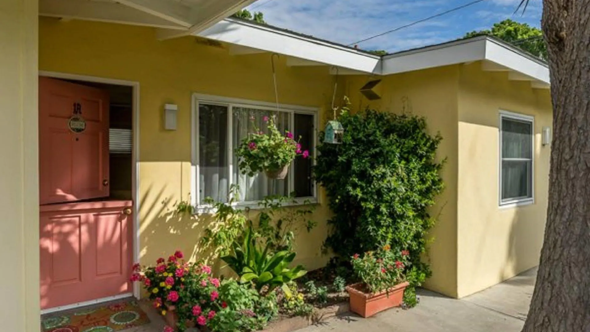 אורחן House