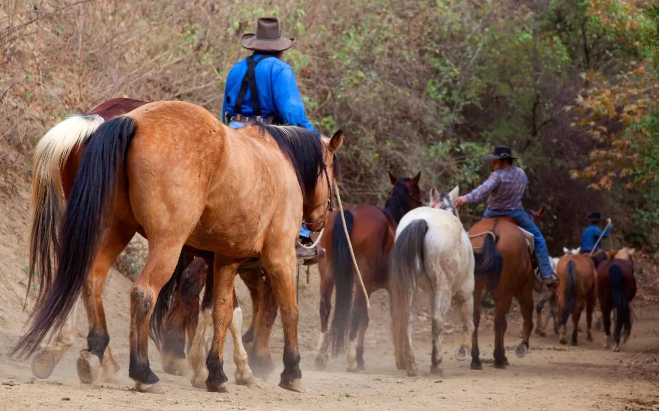 Circle Bar B Guest Ranch Hotell 4*