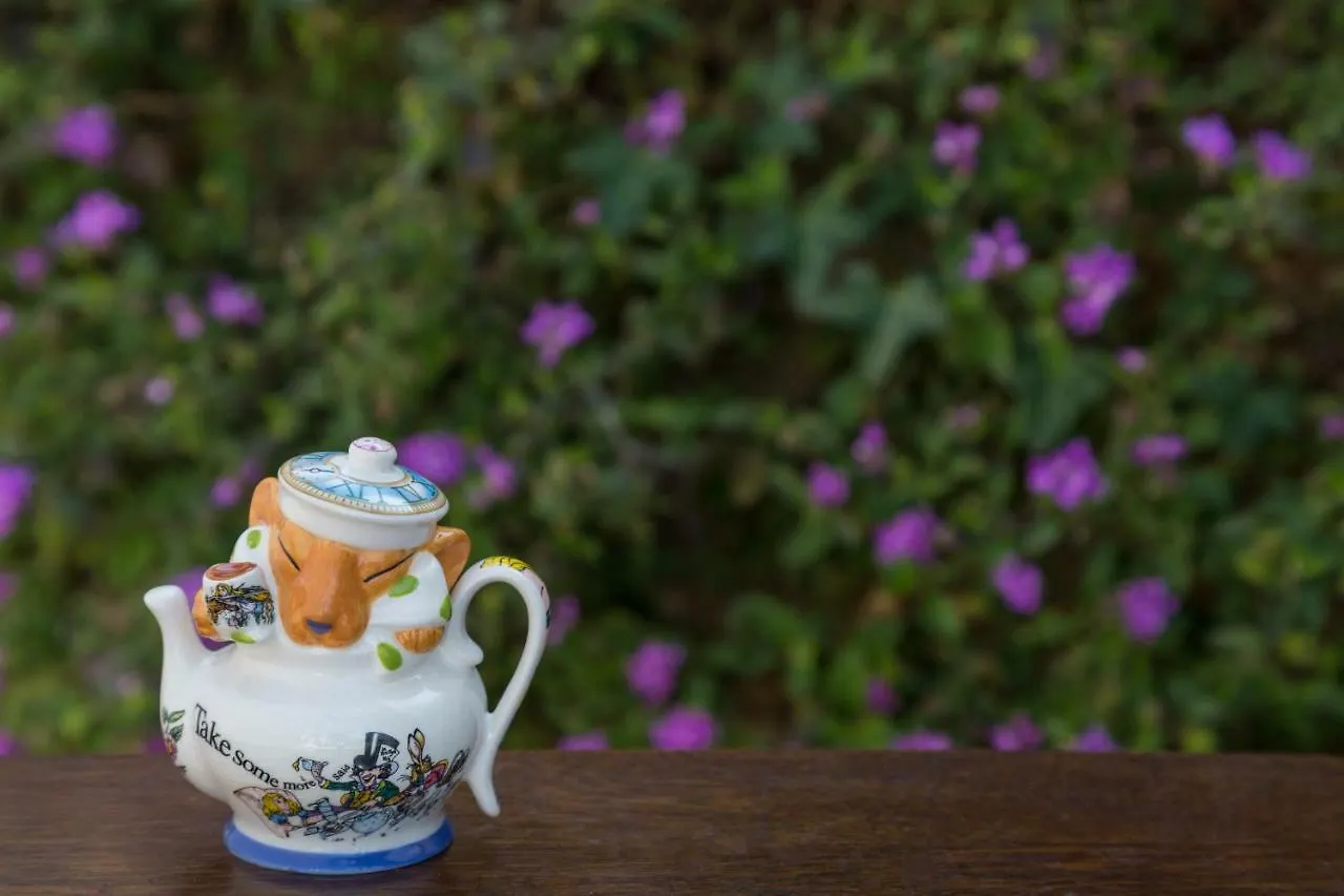 Cheshire Cat Inn&cottages Bed & Breakfast