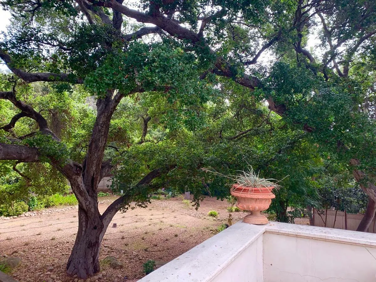 Accommodatie bij particulieren Historic Mansion In Montecito